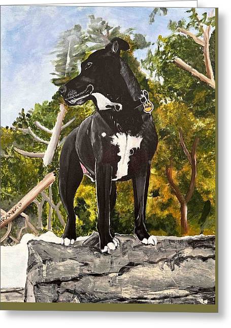 Alfie - Greeting Card