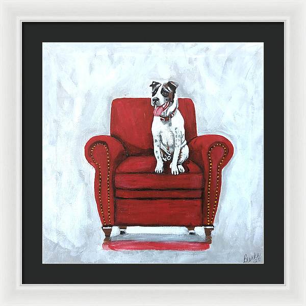 Dog on red chair - Framed Print