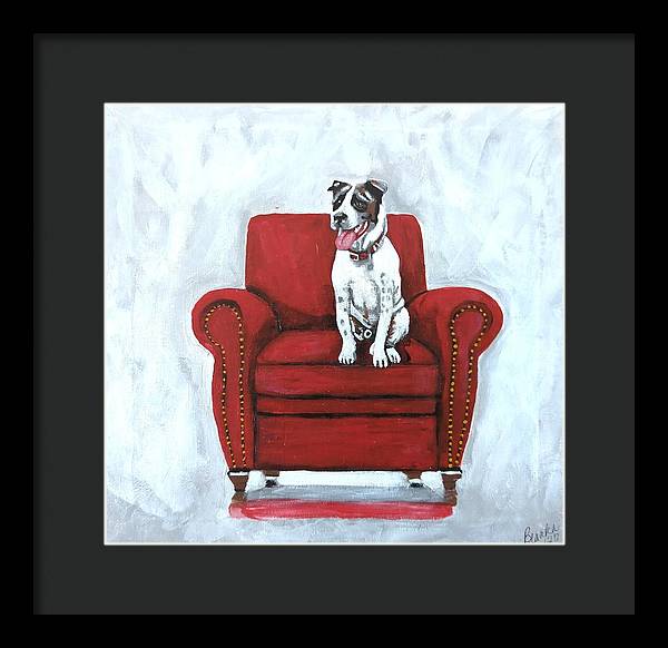 Dog on red chair - Framed Print