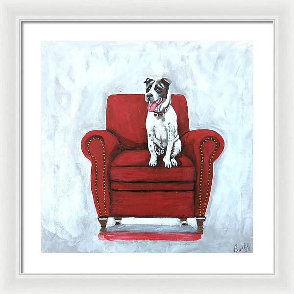 Dog on red chair - Framed Print