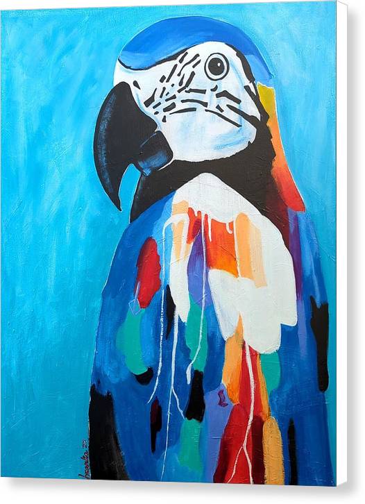Paco - Canvas Print