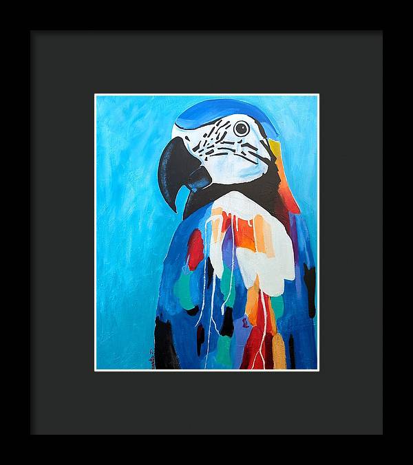 Paco - Framed Print