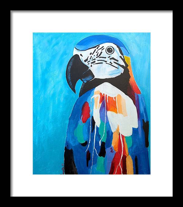 Paco - Framed Print