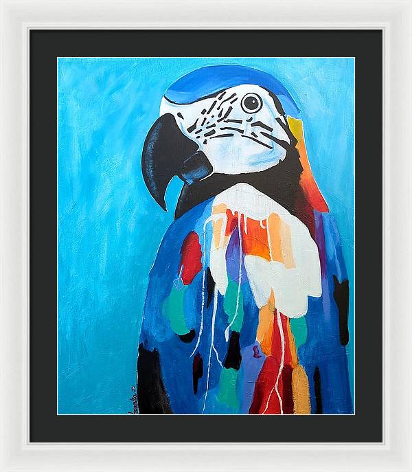 Paco - Framed Print