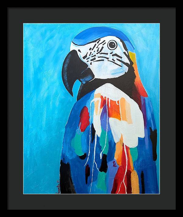 Paco - Framed Print