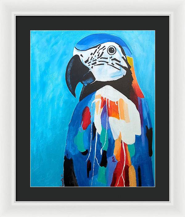 Paco - Framed Print