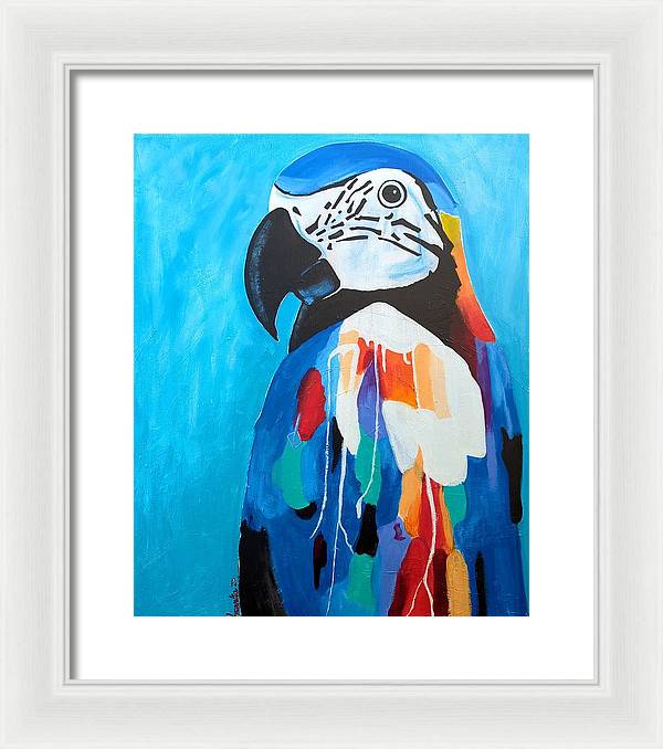 Paco - Framed Print