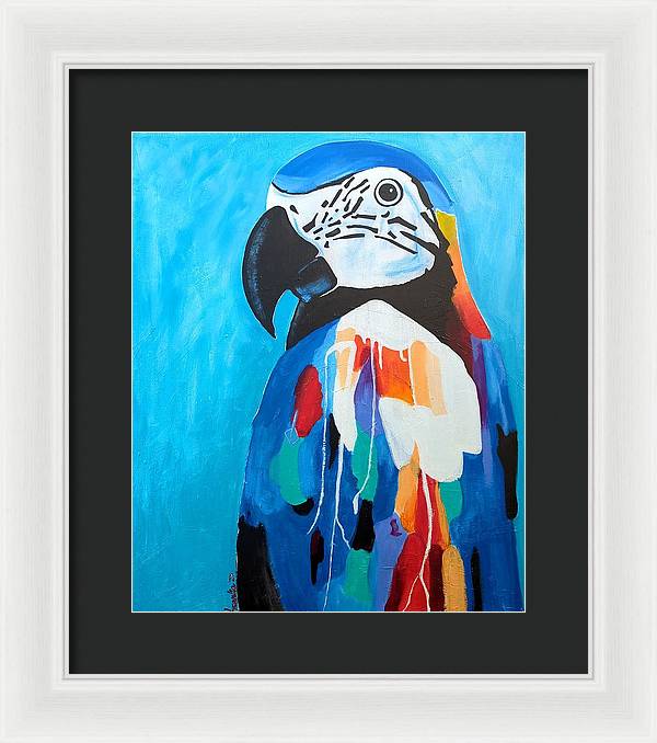 Paco - Framed Print