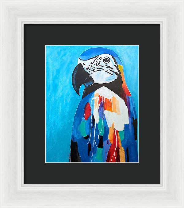Paco - Framed Print