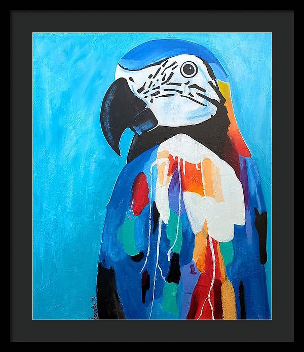 Paco - Framed Print