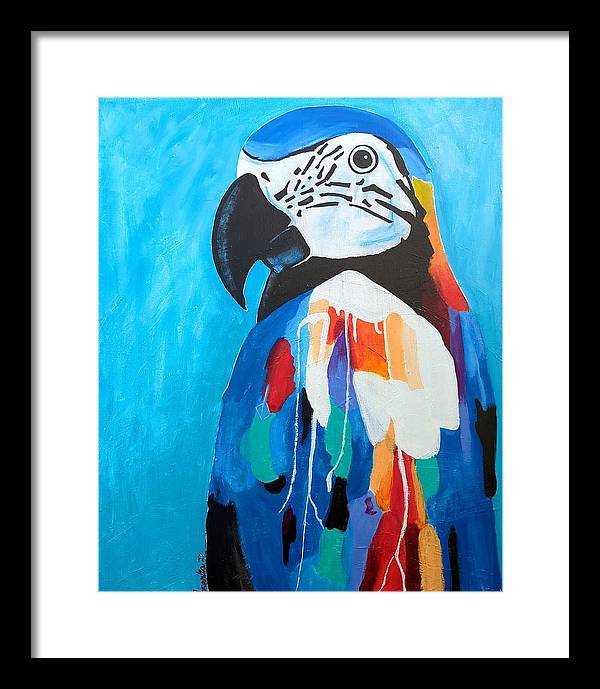 Paco - Framed Print