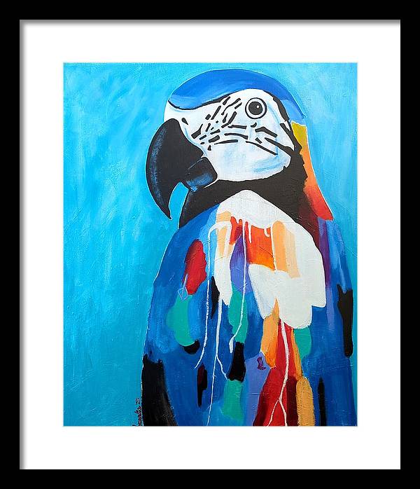 Paco - Framed Print