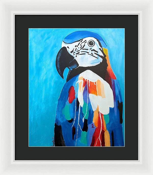 Paco - Framed Print