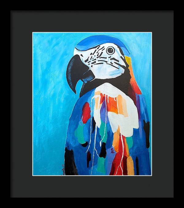 Paco - Framed Print