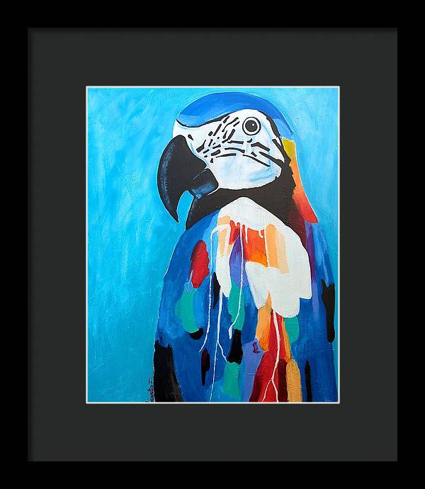 Paco - Framed Print