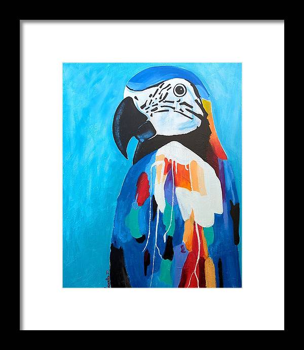 Paco - Framed Print