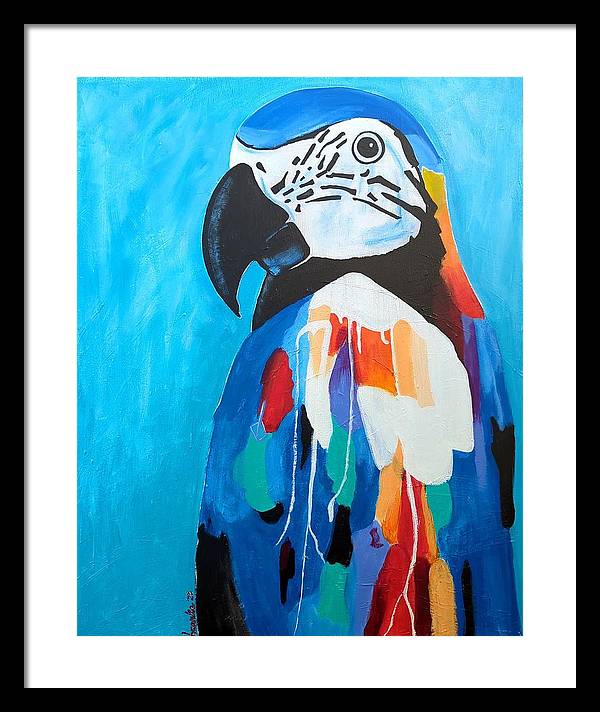 Paco - Framed Print