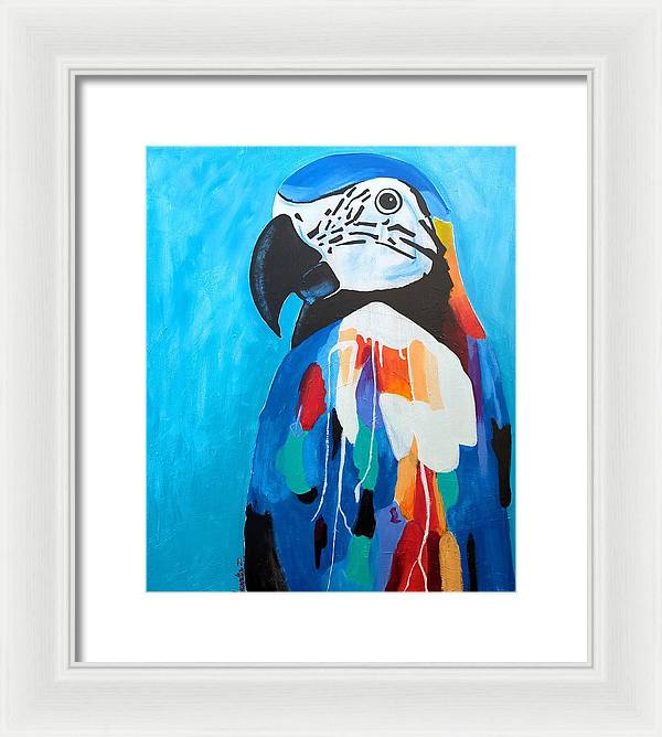 Paco - Framed Print