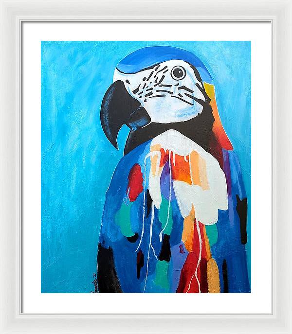 Paco - Framed Print