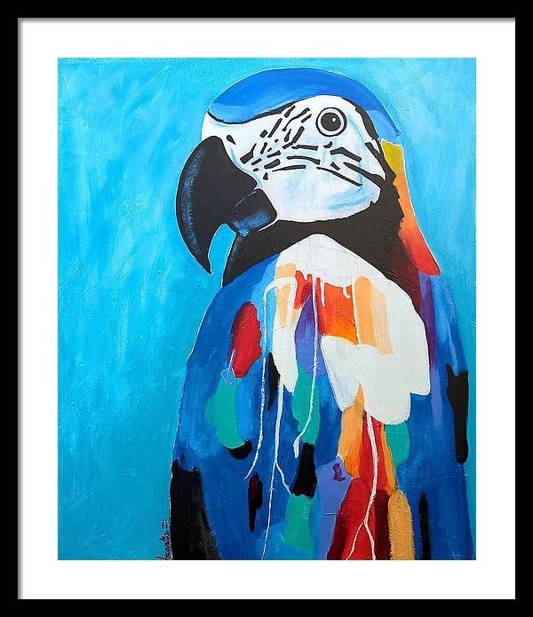 Paco - Framed Print