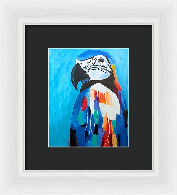 Paco - Framed Print