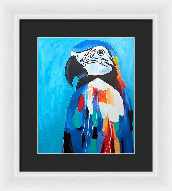 Paco - Framed Print