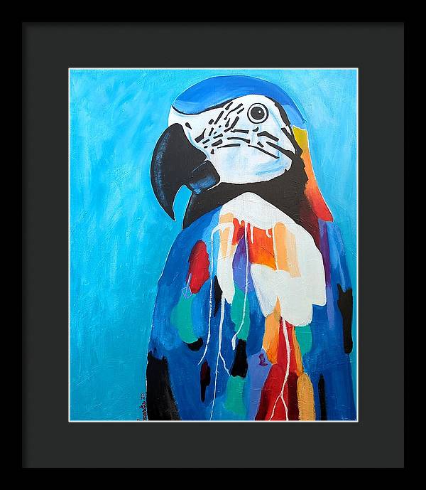 Paco - Framed Print