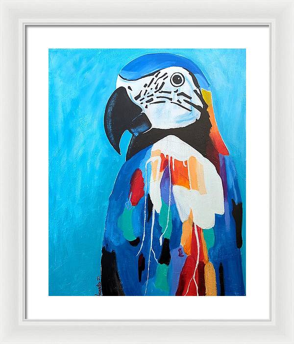 Paco - Framed Print
