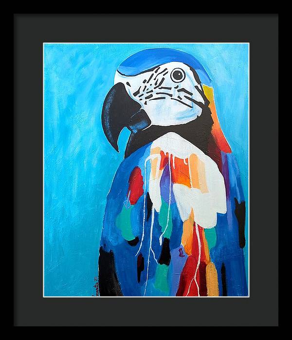 Paco - Framed Print
