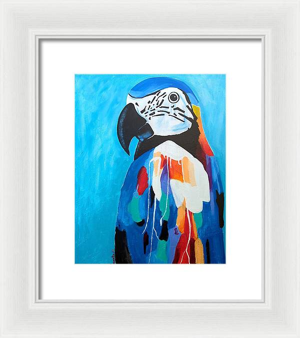 Paco - Framed Print