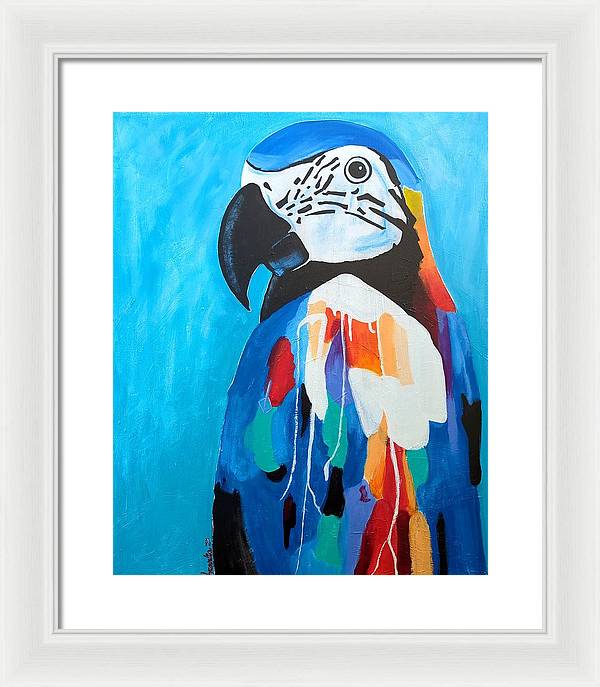 Paco - Framed Print
